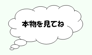 本物を見てね